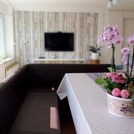 Gemuetliches Apartment In Ruhiger Lage Bei Koeln!
