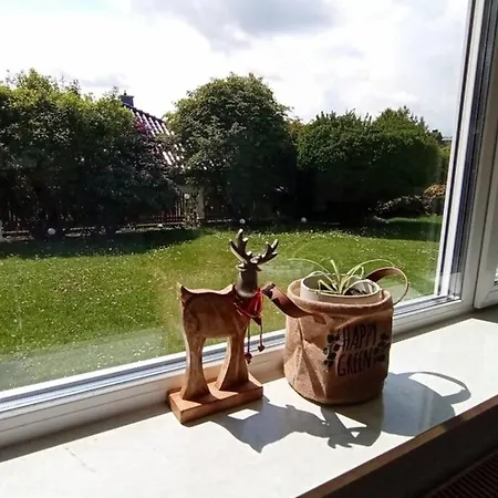 Gemuetliches Apartment In Ruhiger Lage Bei Koeln!