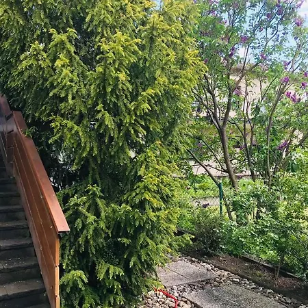 Apartmán Gemuetliches Apartment In Ruhiger Lage Bei Koeln! *
